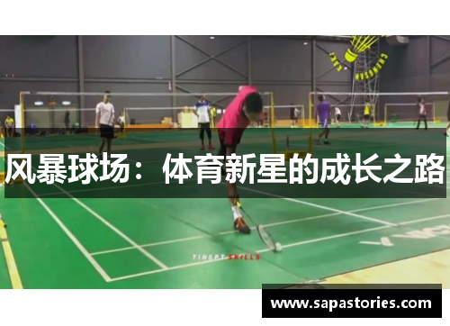 风暴球场:体育新星的成长之路