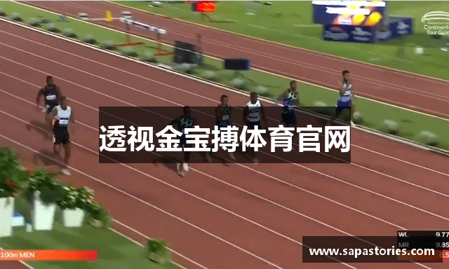 透视金宝搏体育官网
